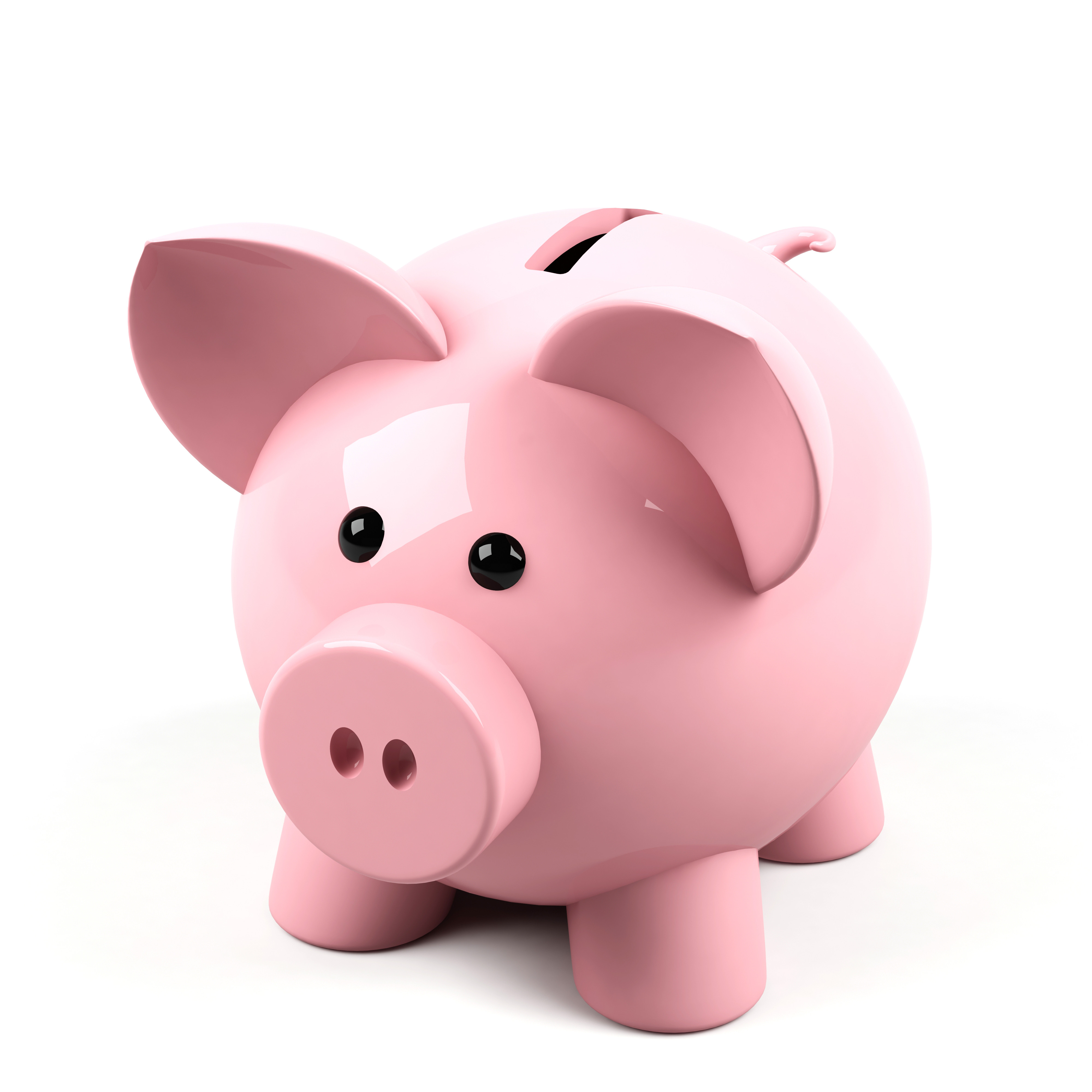 moneypig image